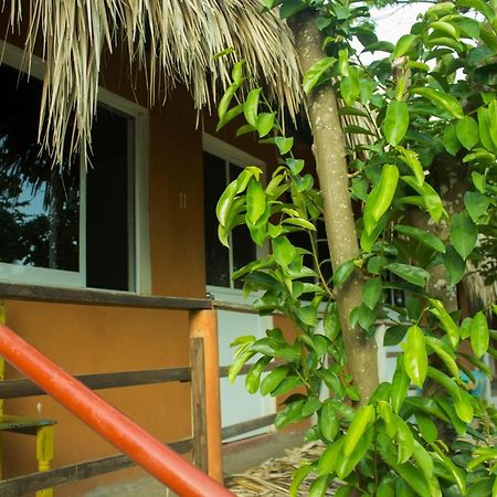 Posada La Huerta マスンテ エクステリア 写真